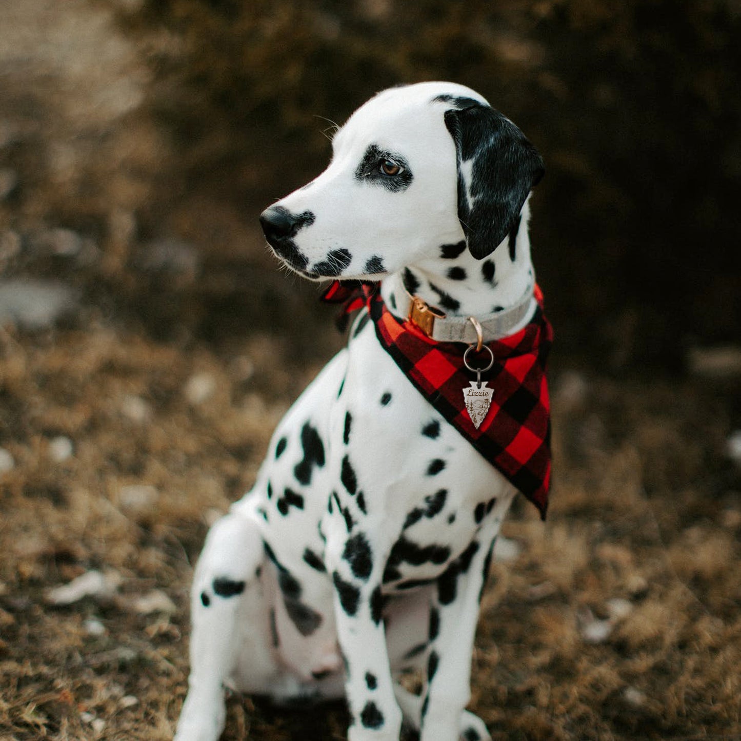 Mountain Sunrise Arrowhead Pet ID Tag