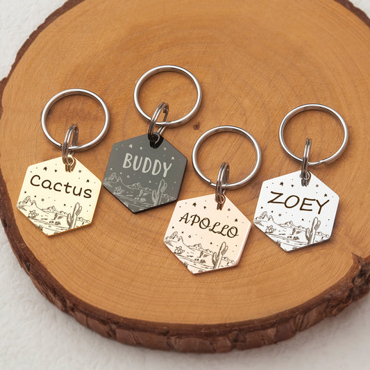 Desert Starry Sky Hexagon Pet ID Tag