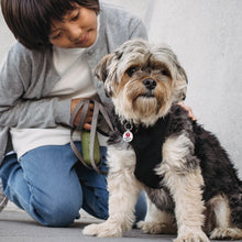 Load image into Gallery viewer, Personalizable Round Service Dog Medical Alert Symbol Pet ID Dog Tag
