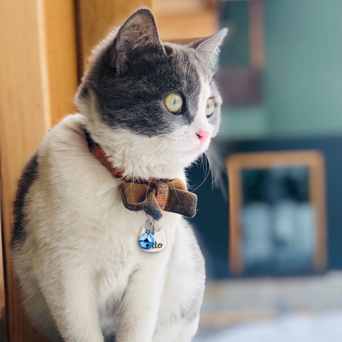 Jingle Bell Collar Charms