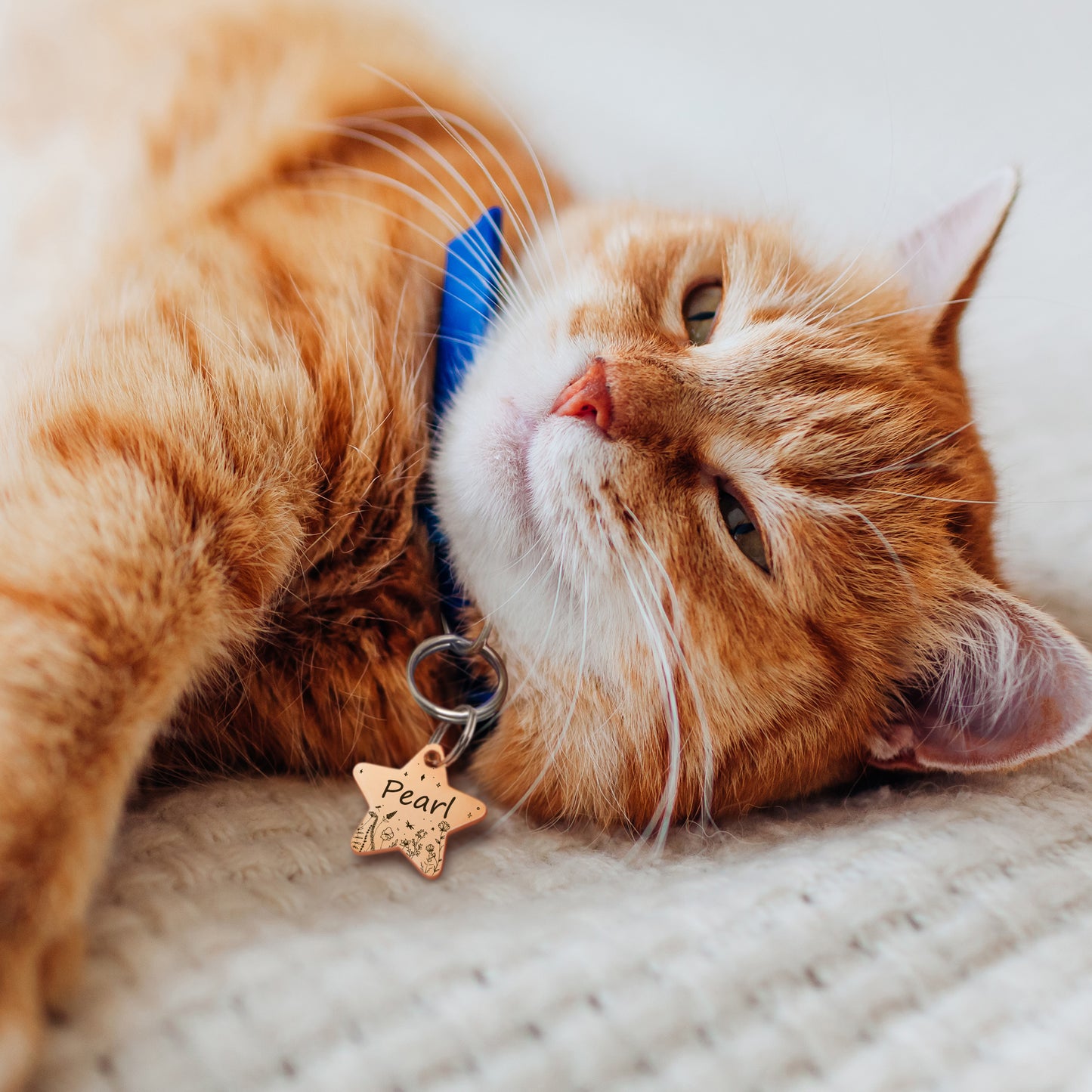 Star Wildflowers Pet ID Dog Tag