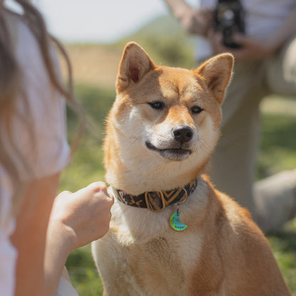 Mountain Peak Moon Pet ID Dog Tag