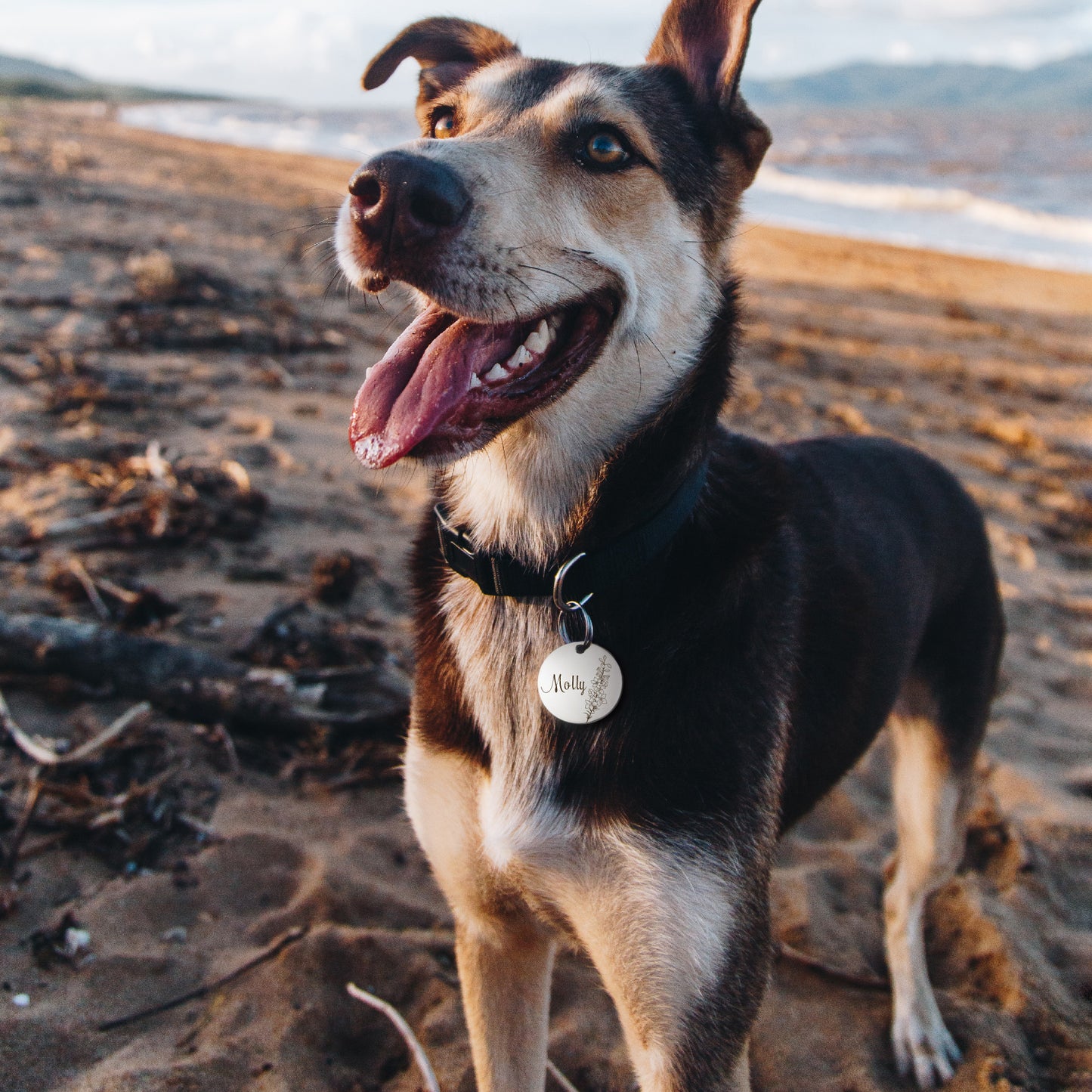 Round Shaped Birth Flower Pet ID Dog Tag