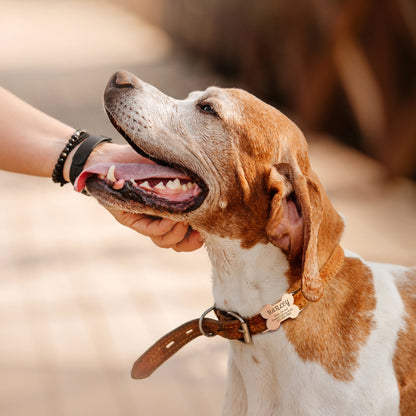 Dog Bone Stainless Steel Slide-On Pet ID Tag