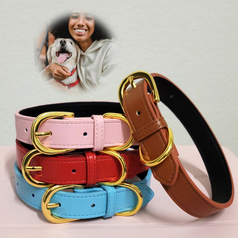 Leather Pet Collar