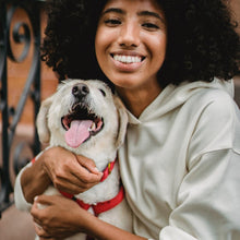 Load image into Gallery viewer, Leather Pet Collar
